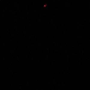 Meet your Posher, Hillary